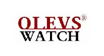 watch brand (14)